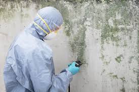 Best Residential Mold Inspection & Testing  in Lanai City, HI